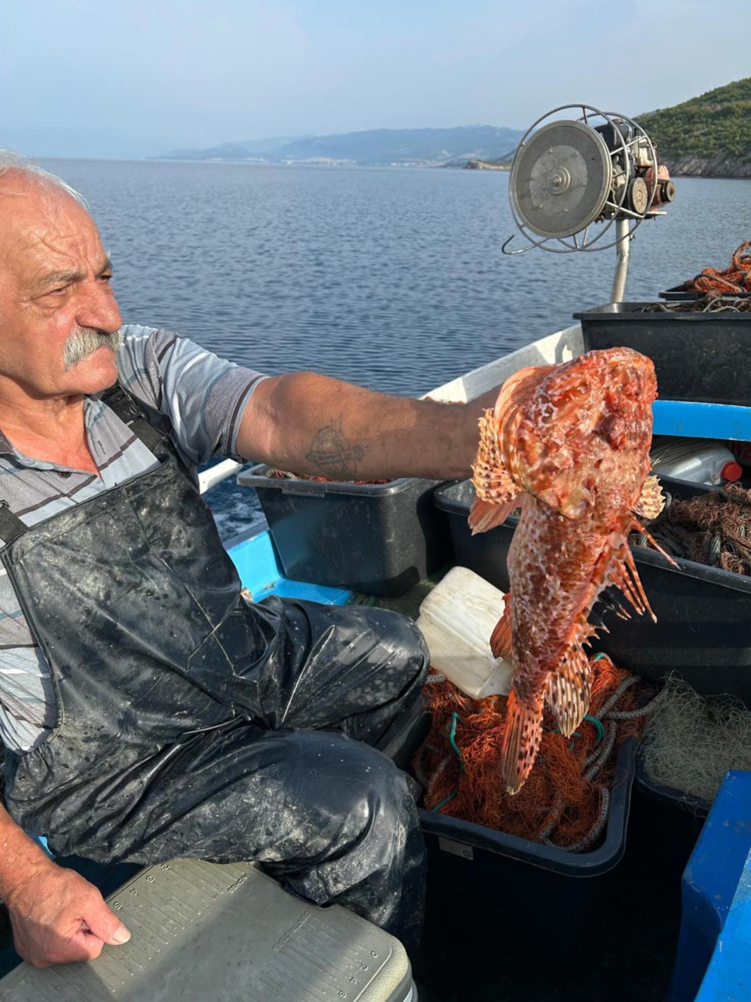 Villa Haus Niko Senj  Dış mekan fotoğraf